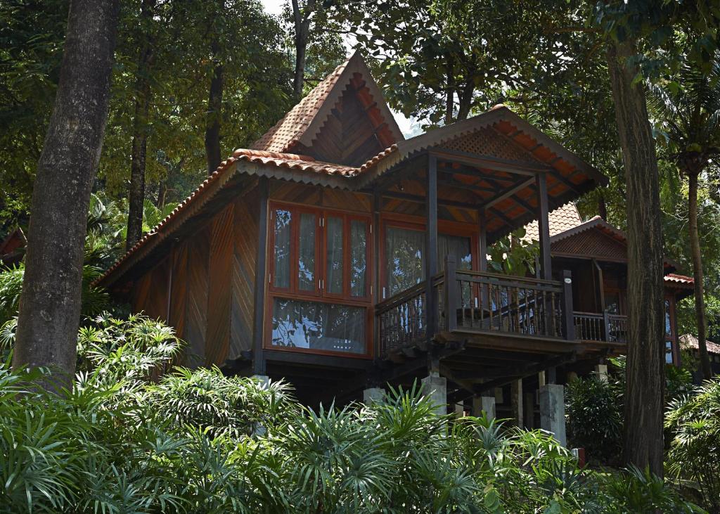 Rainforest Chalet