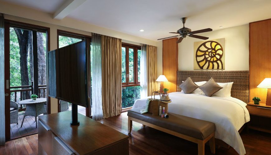 Rainforest Studio