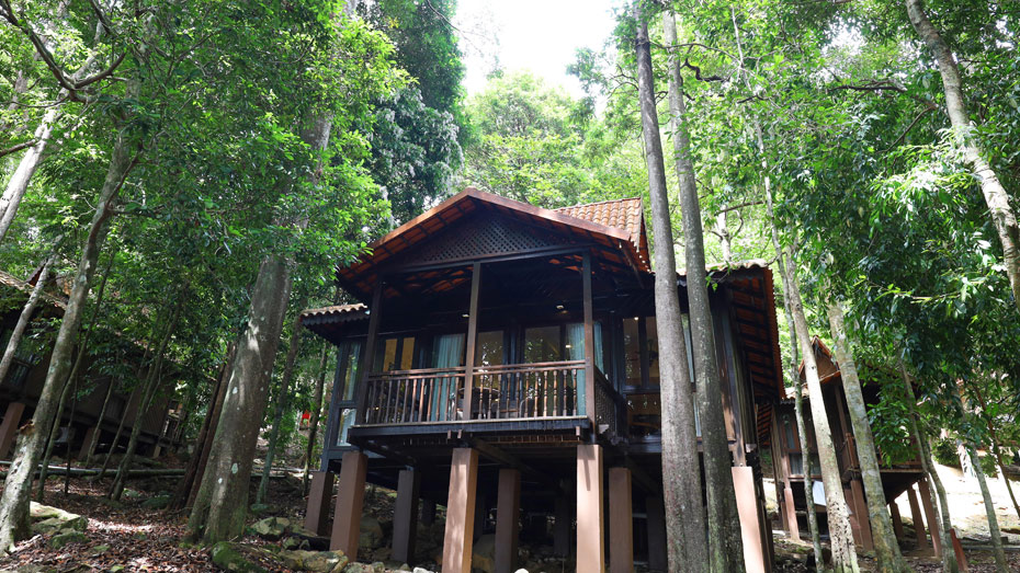 Rainforest Studio
