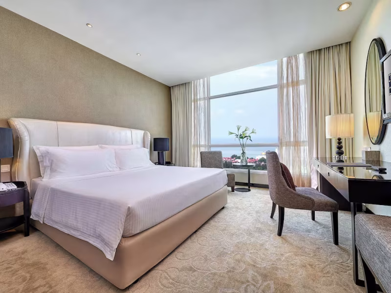 Deluxe Suite (Room Only)