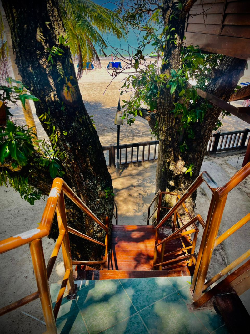 Treehouse (Room Only)