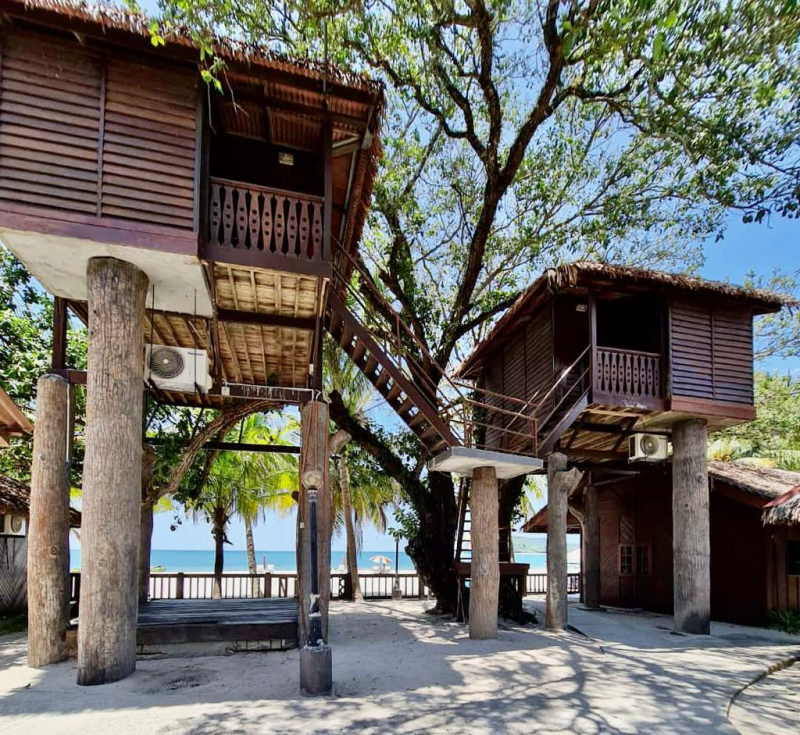 Treehouse (Room Only)