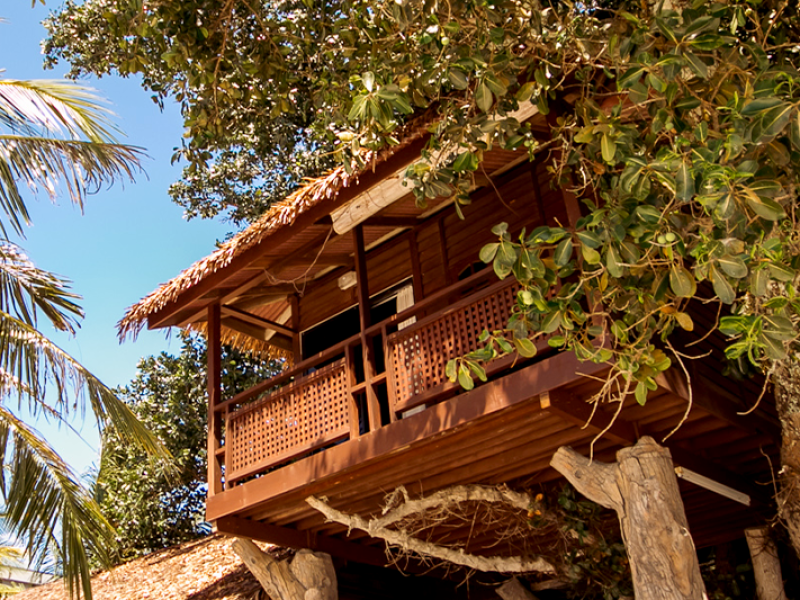 Treehouse (Room Only)