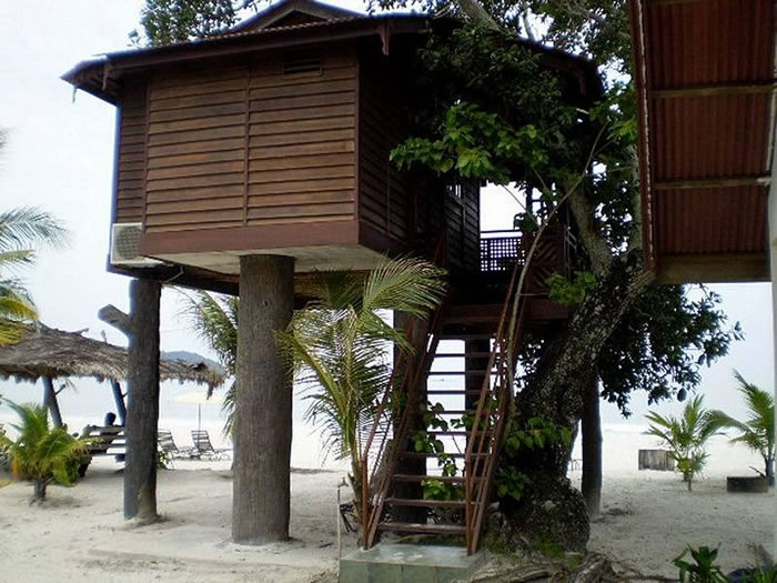Treehouse (Room Only)